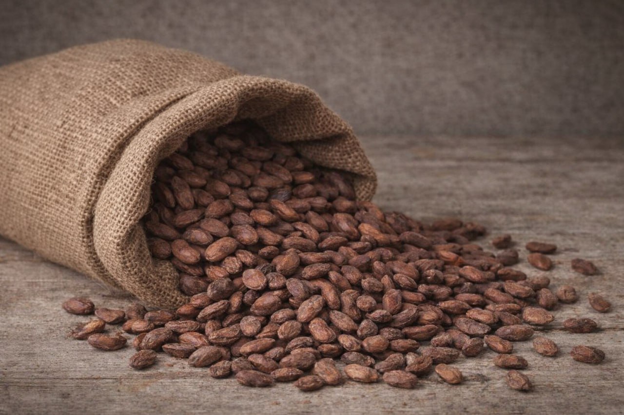 Cocoa Beans
